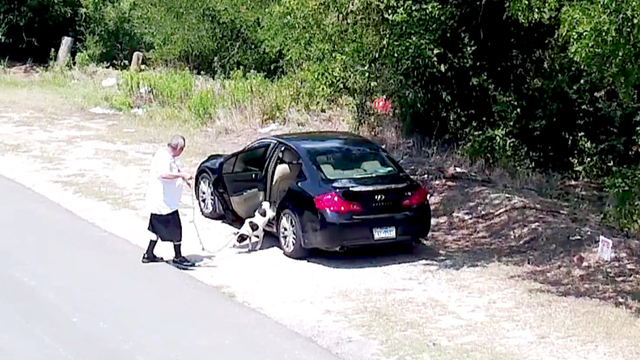 Police use hidden camera to catch animal cruelty