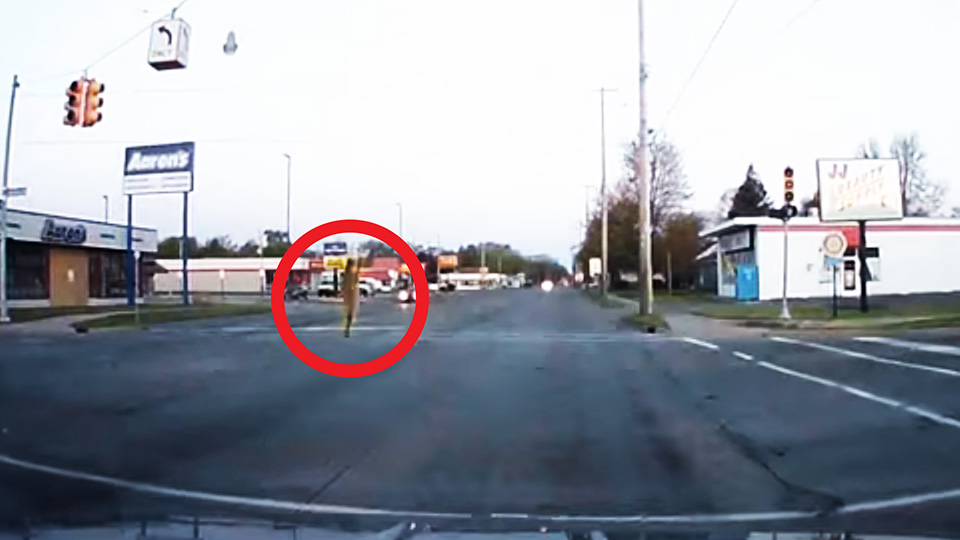 Dash cam captures goose striking power line, ruins transformer